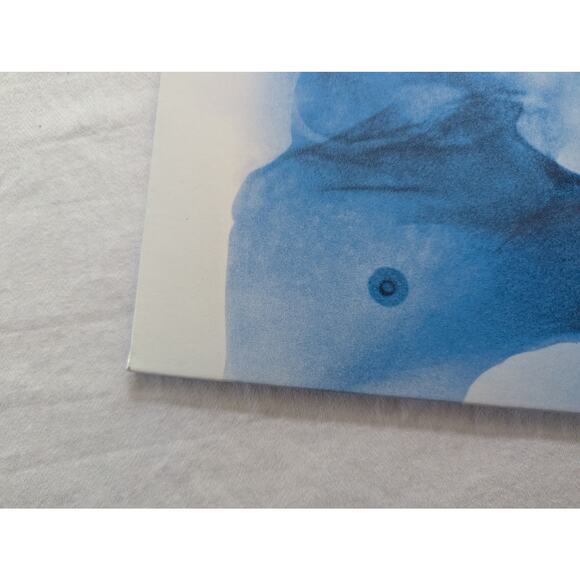 Lorde Signed Vinyl Virgin LP Autographed X-Ray Picture Disc - Picture 11 of 16